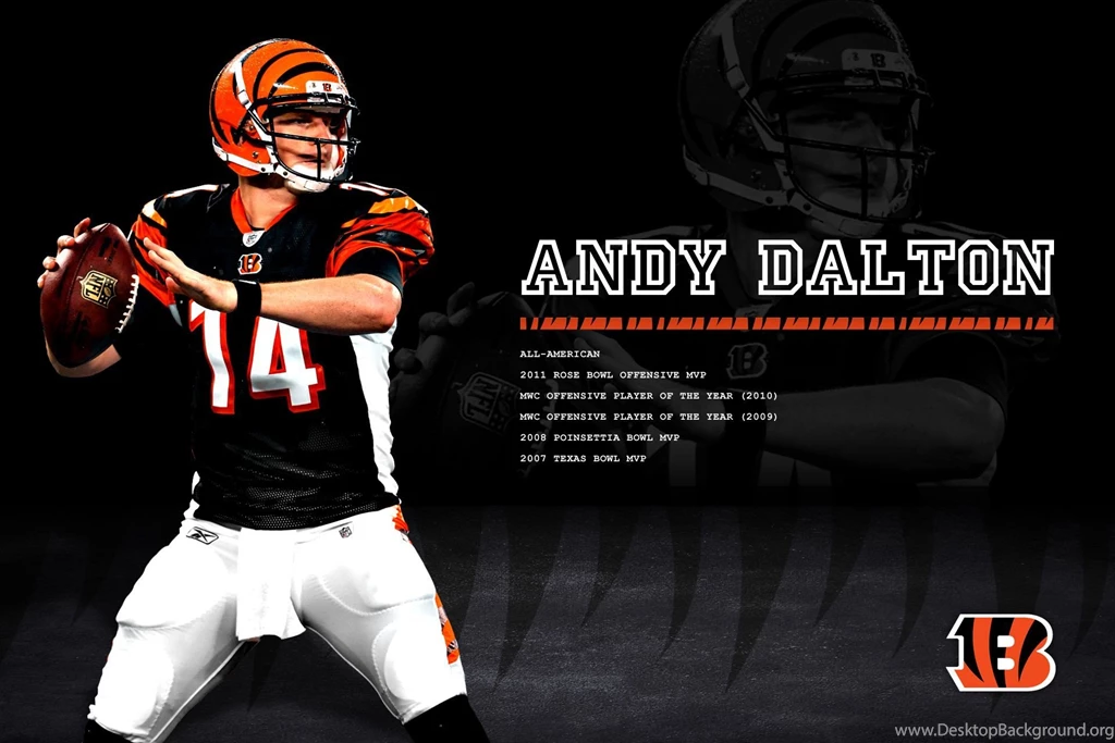 CINCINNATI BENGALS Nfl Football Fj Wallpapers