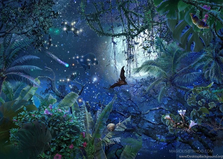 DeviantArt: More Like Night 2d Game Backgrounds By Magicilis