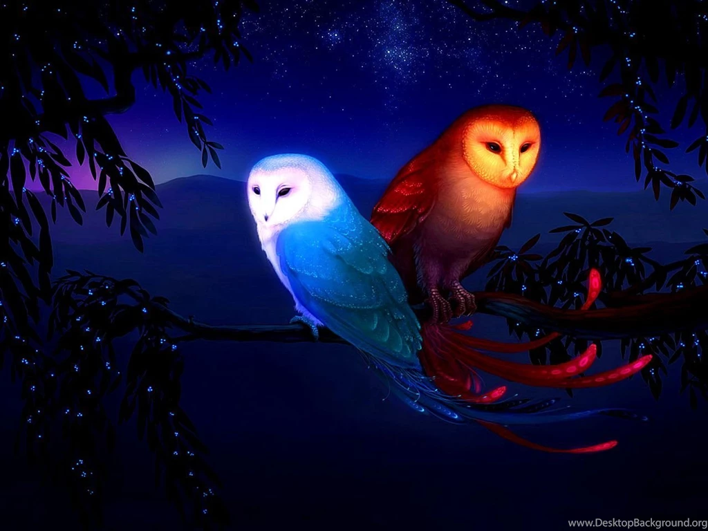 543 Owl HD Wallpapers