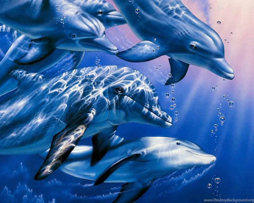 Free Dolphin Wallpapers For Desktop Wallpapers Cave
