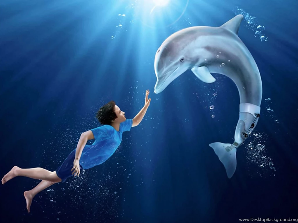 2014 Dolphin Tale 2 Wallpapers Stock Photos