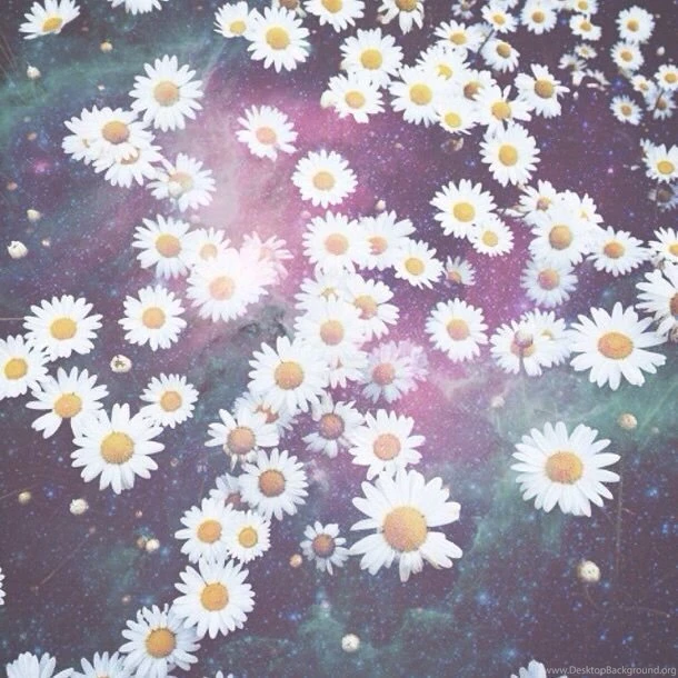Background, Beautiful, Flowers, Galaxy, Girly, Hipster, Iphone ...