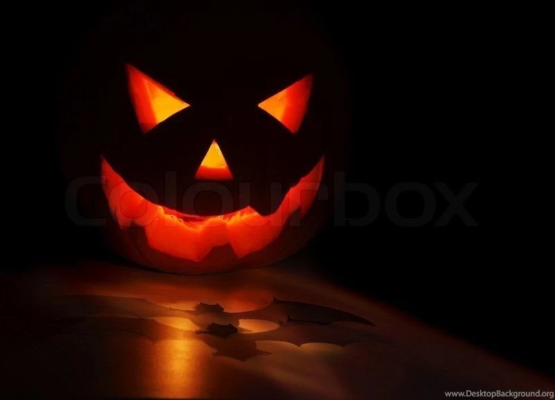 Nice Halloween Pumpkin On The Black Backgrounds