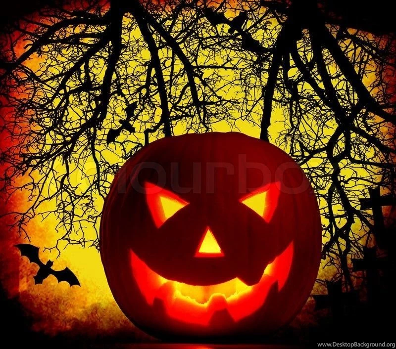 Halloween Pumpkin Backgrounds With Glowing Jack o lantern At Night ...