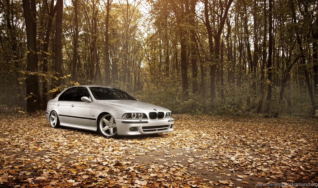 Download Wallpapers Bmw, M5 E39, Stance Works, Fall, Leaves, Forest ...