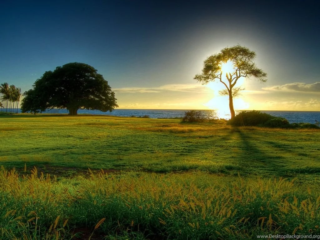 iPad Wallpapers HD For iPad 2, iPad Mini