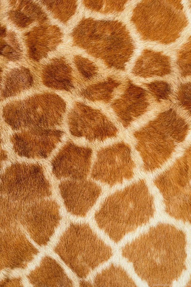 Giraffe Skin