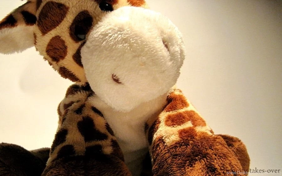 Giraffe Wallpapers By Insanity takes over On DeviantArt