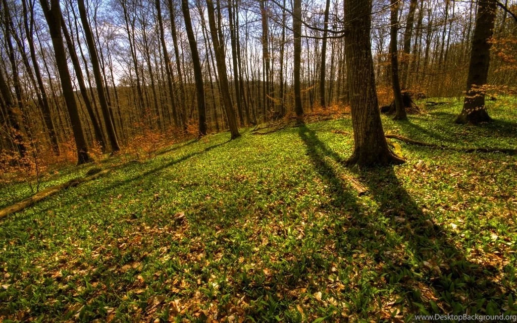 Greenland Wallpapers By JoInnovate On DeviantArt