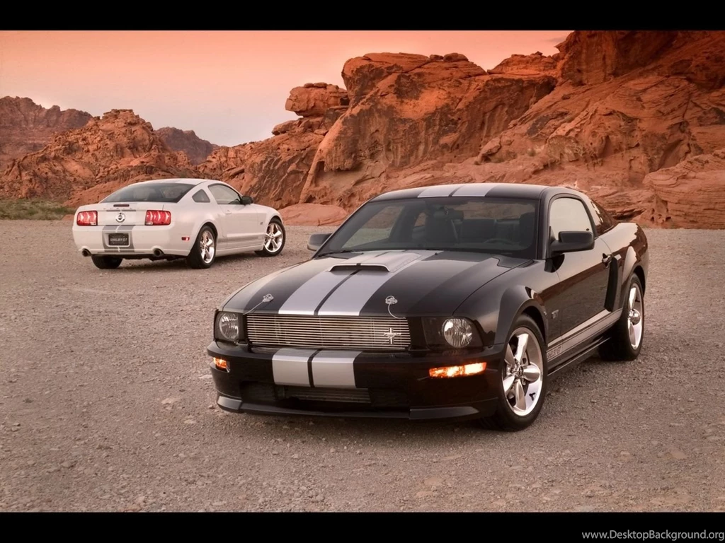 1280x960 Two Ford Mustang Desktop PC And Mac Wallpapers