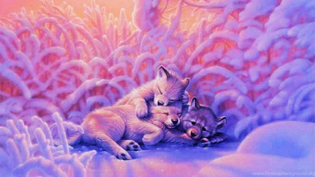 Desktop baby wolf pics wallpaper.jpg