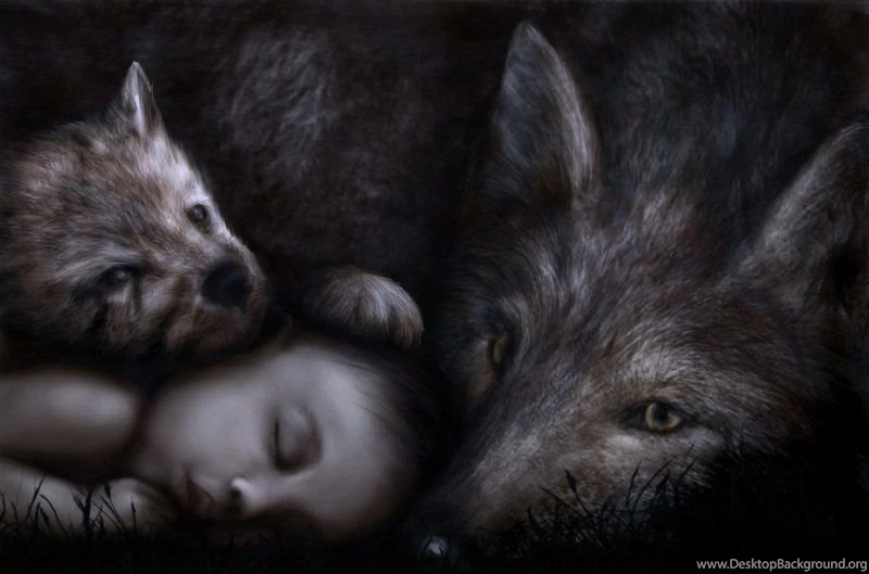 DeviantArt: More Like She Of The Wolf By LolosArt