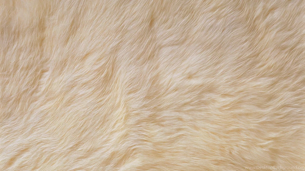 Download Wallpapers 2560x1440 Fur, Bright, Pet, Rug Mac iMac 27 HD ...