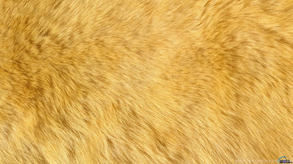 Download Wallpapers Natural Animal Fur (1920 X 1080 HDTV 1080p ...