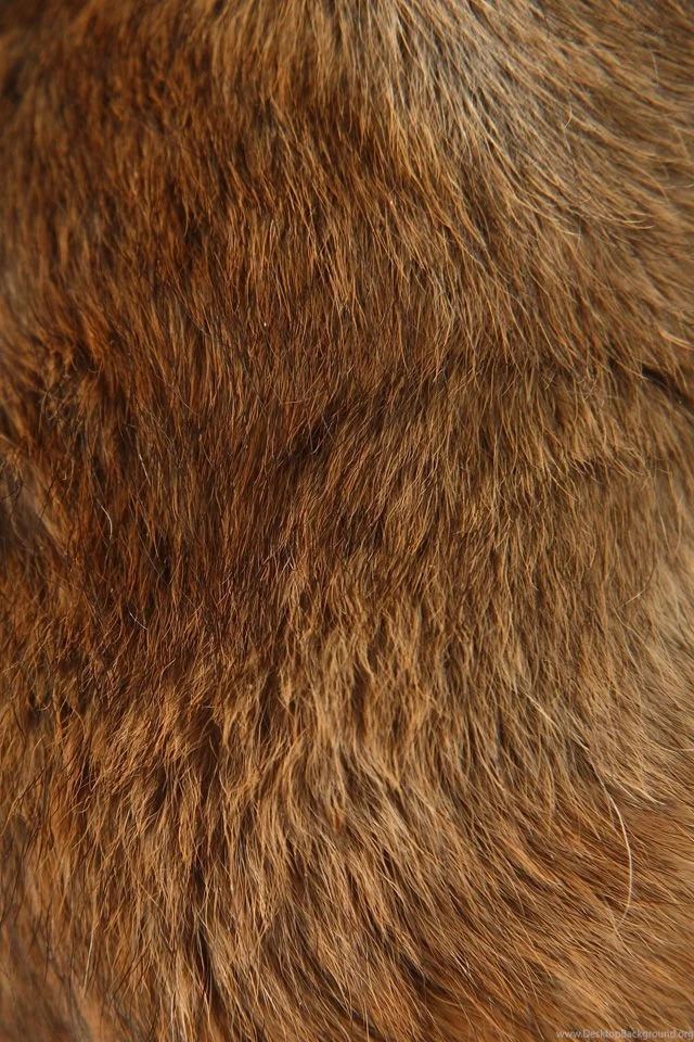 Fur