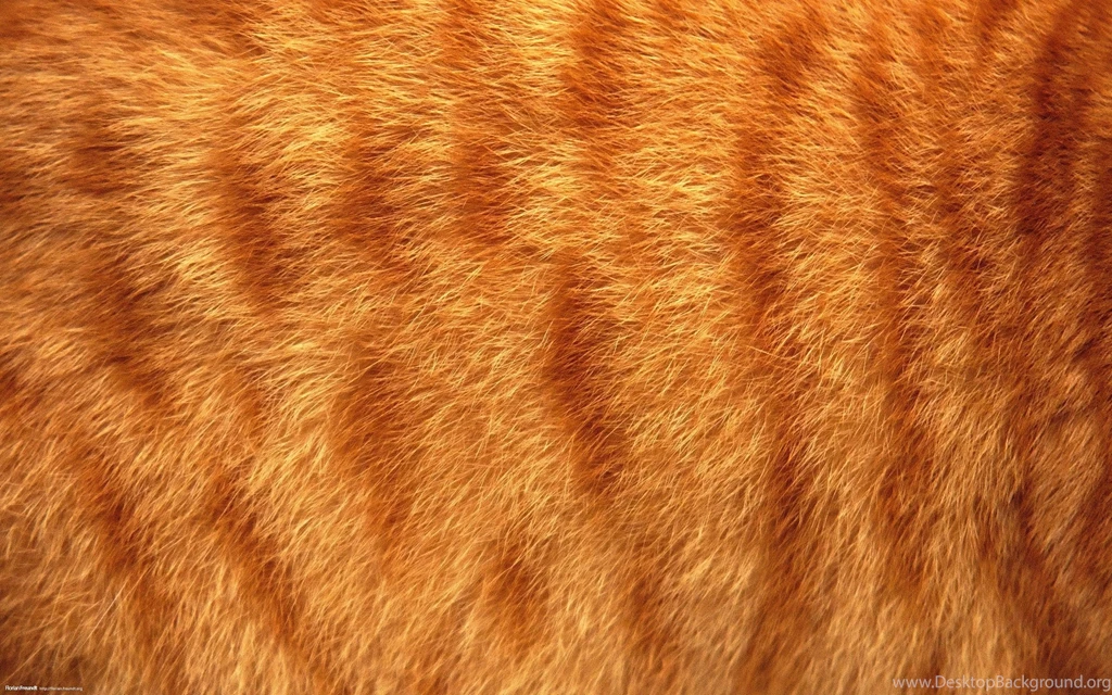 Fur