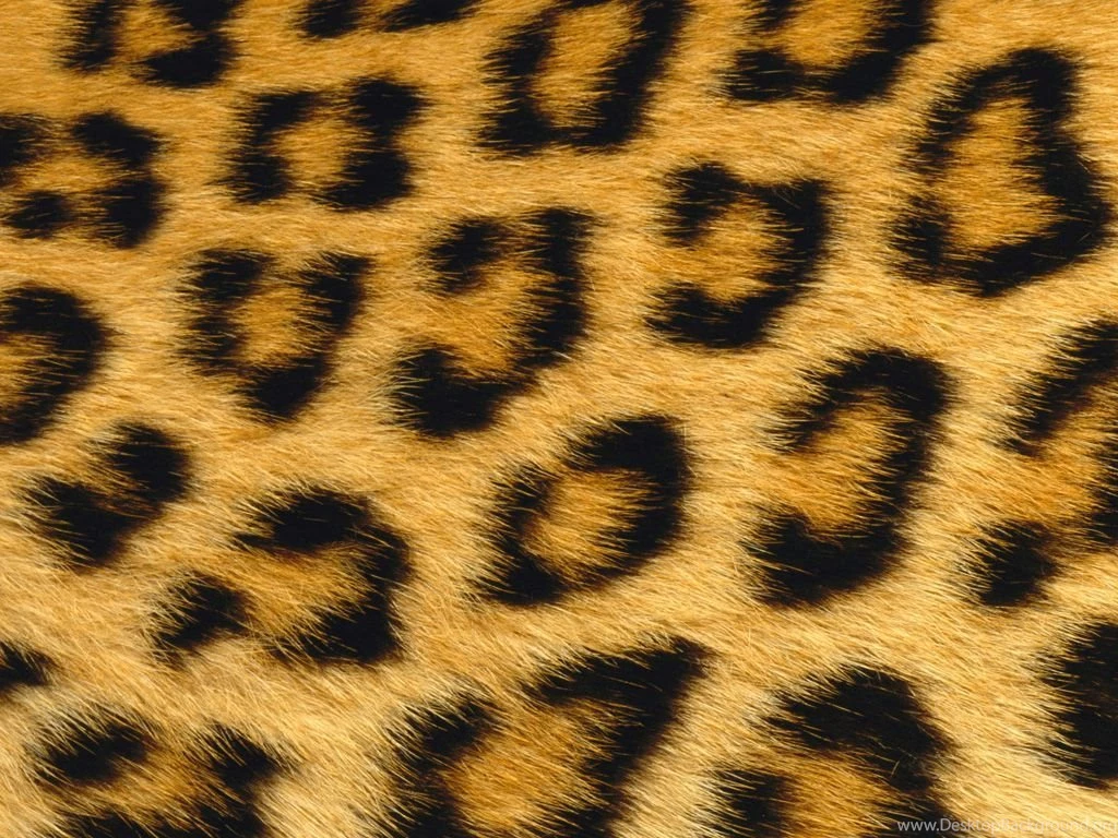 Osx Fur Wallpapers By Isometrix On DeviantArt