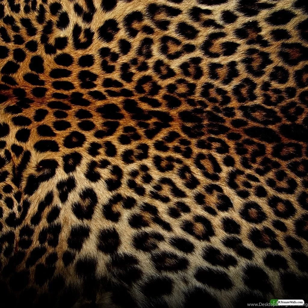 Startseite   UltimateWalls Von BLUE BOX   Productions, Wallpapers ...