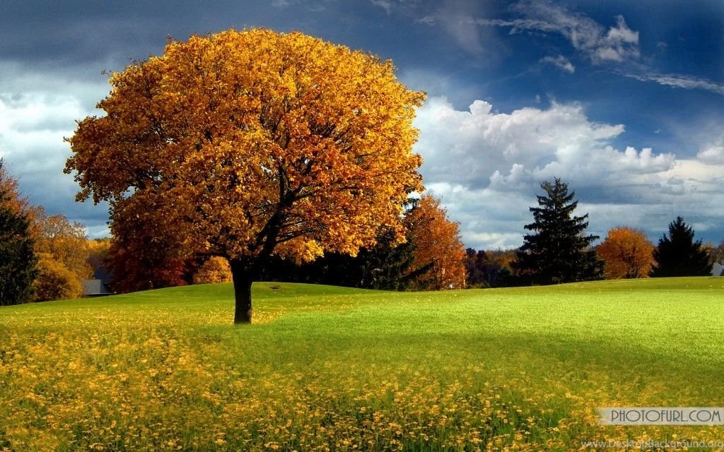 Beautiful Hd Nature Wallpapers HD Wallpapers Lovely