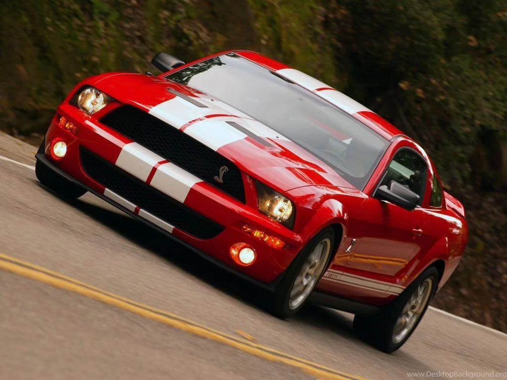Mustang Wallpapers Mustangs Wallpapers (6411232) Fanpop