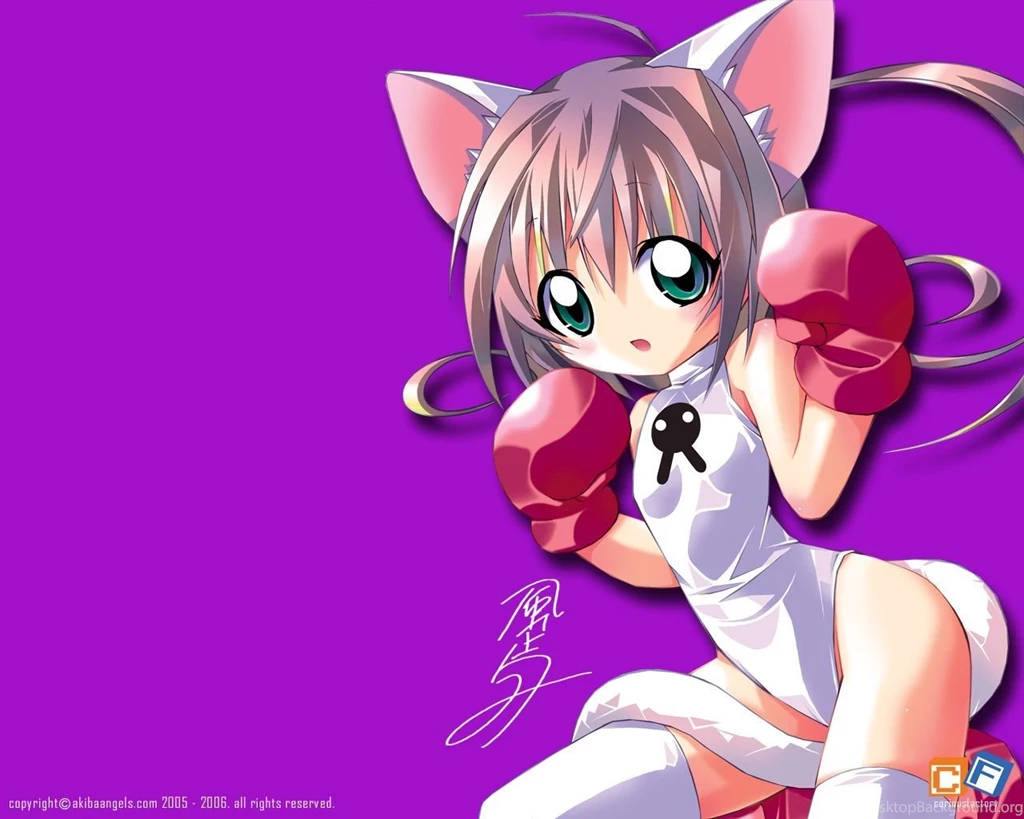 Download Nekomimi Boxing Wallpapers 1280x1024