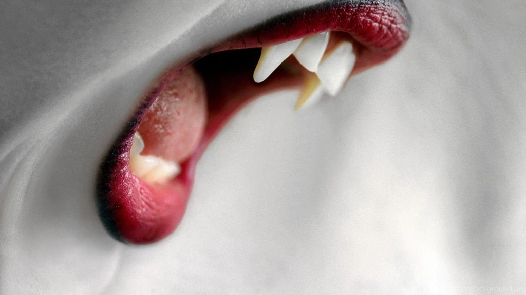 True Blood HD Wallpapers0.jpg