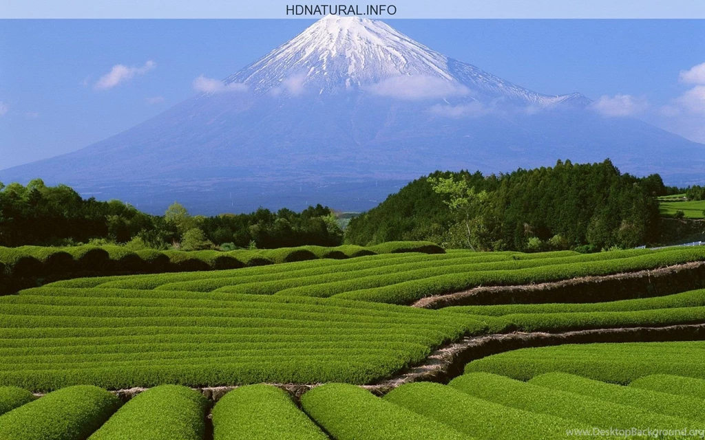 Nature Wallpapers Hd For Desktop Free Download   HD WallpapersHD ...