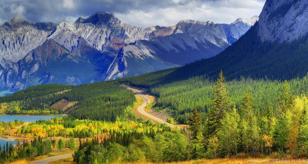 Hd Nature Images, Wallpapers Of Natures, Organic, Plants, Fresh Air ...