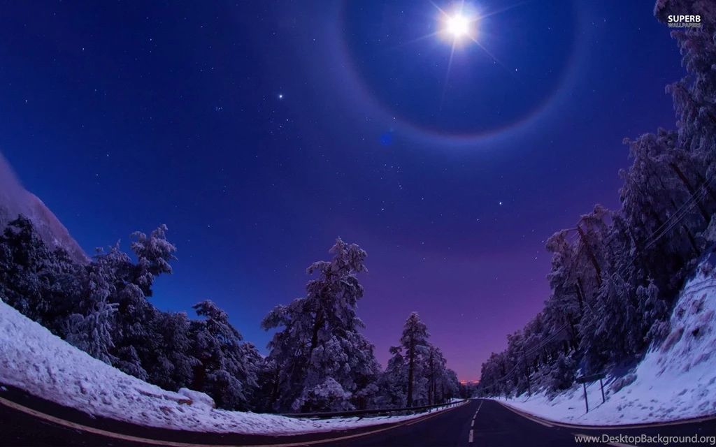 Night Star Road Trees Winter Wallpapers