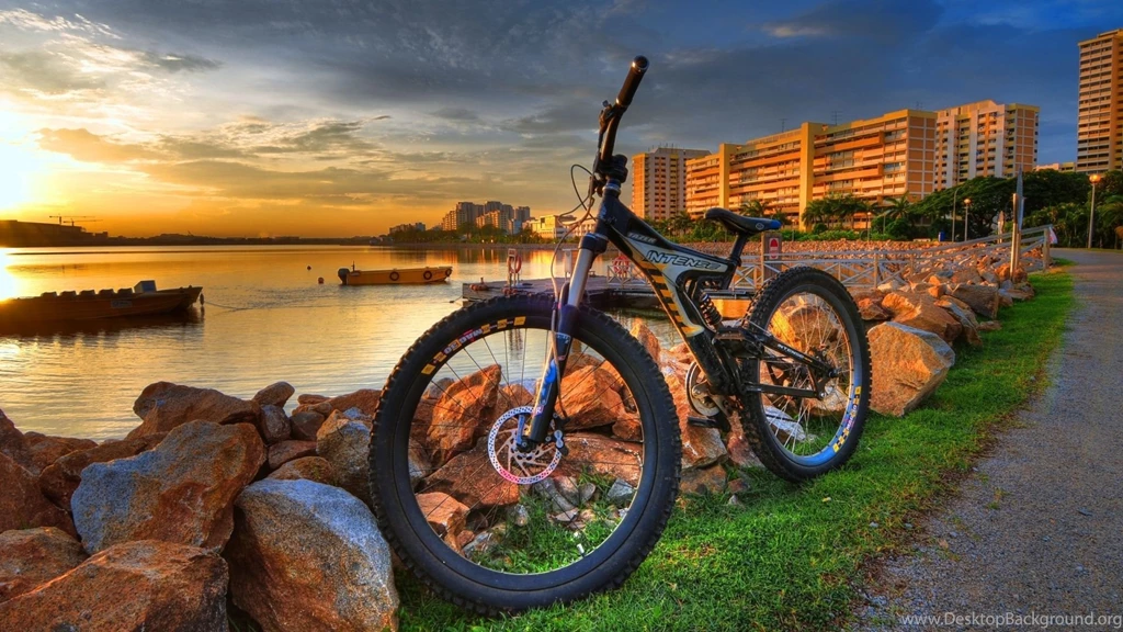 Parking Bicycle Wallpaper.jpg