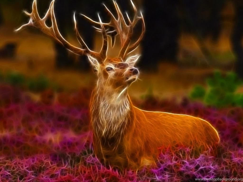 3D Stag Desktop Wallpapers