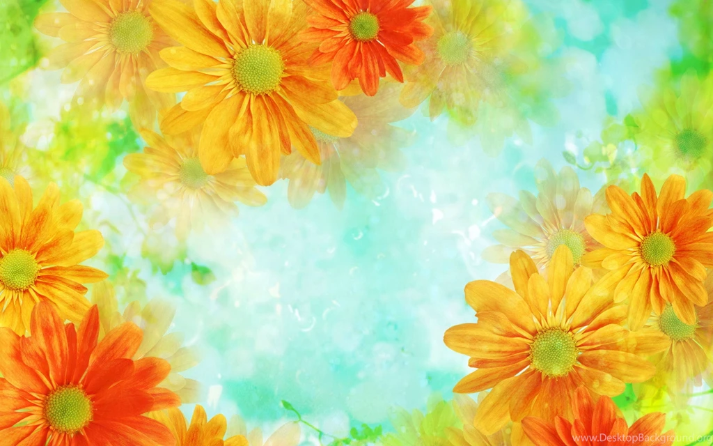Orange Flowers Hd Backgrounds Wallpapers