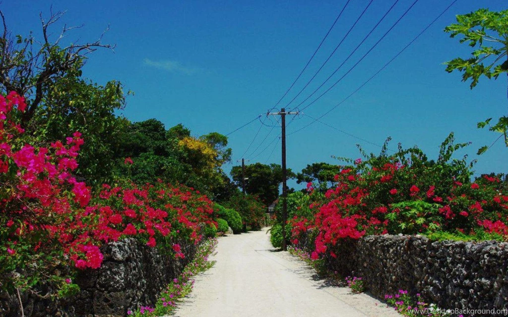 Ishigaki Resort Okinawa Japan (