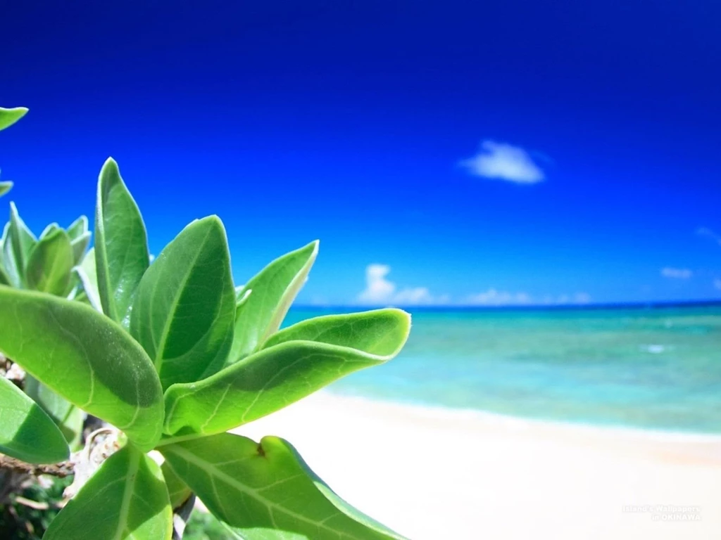 Okinawa Beach By Enzo19111 On DeviantArt