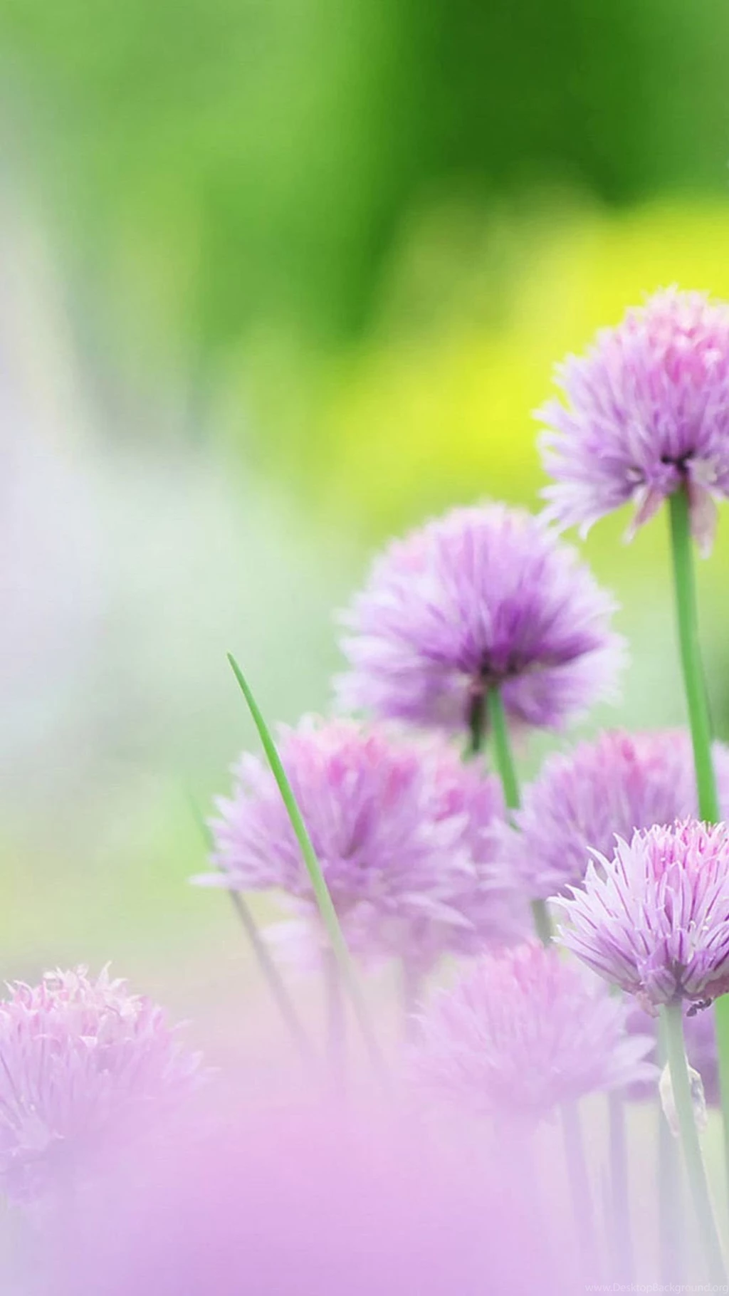 iPhone 6 Plus Archives Page 22 Of 108 Wallpapers For iPhone ...
