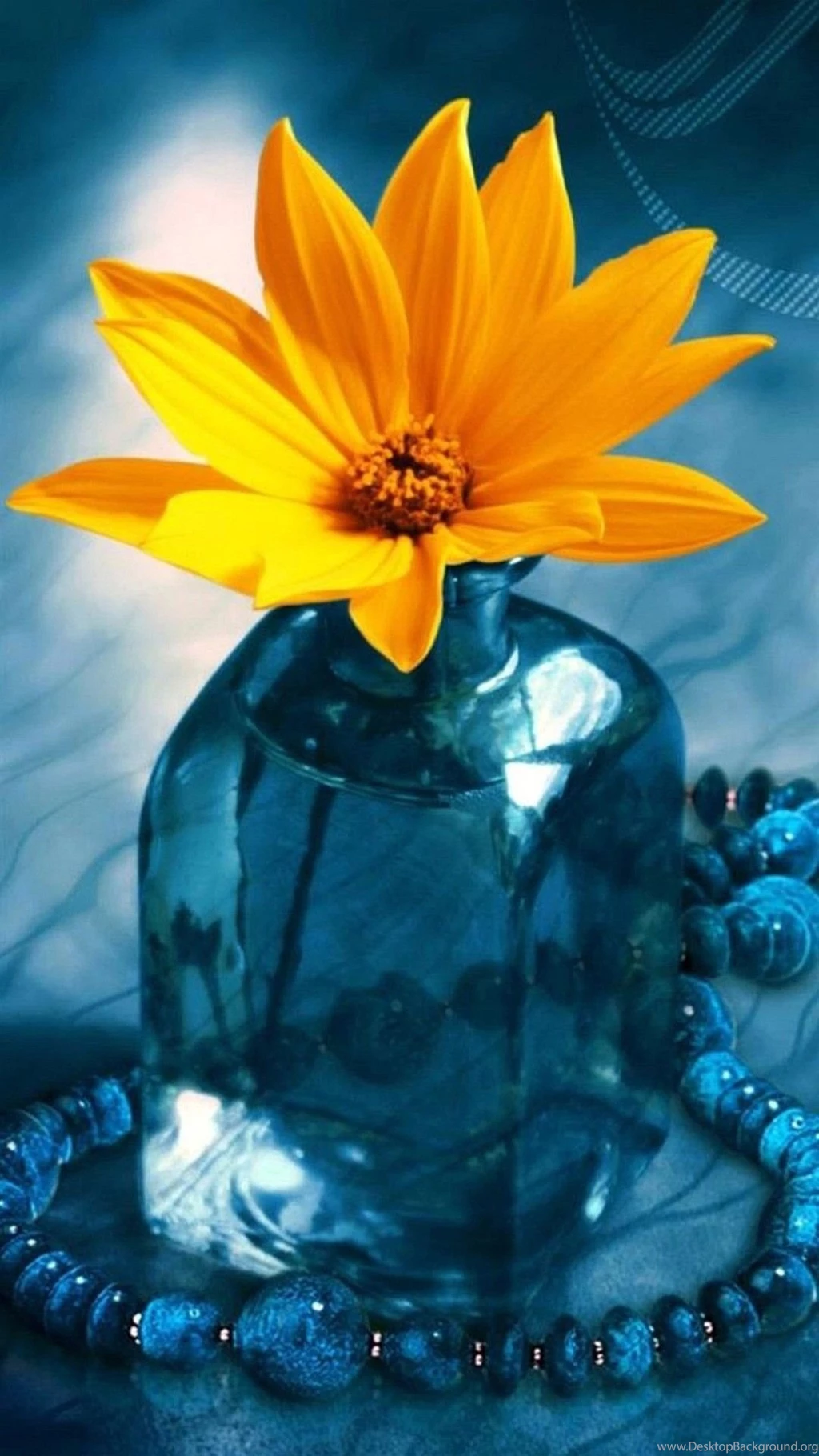 Wallpapers Iphone 6 Plus Yellow Flower 5 5 Inches 1080 X 1920 ...