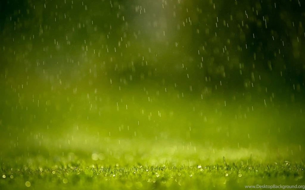 Desktop Wallpapers · Gallery · Windows 7 · Spring Warm Rain ...
