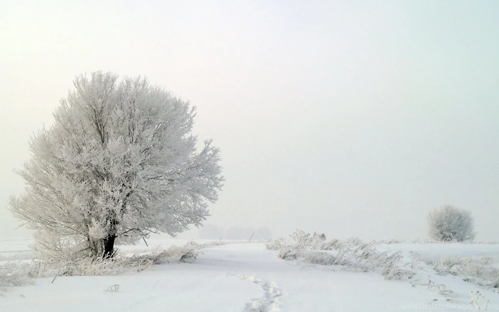 White Nature Landscape Wallpapers HD