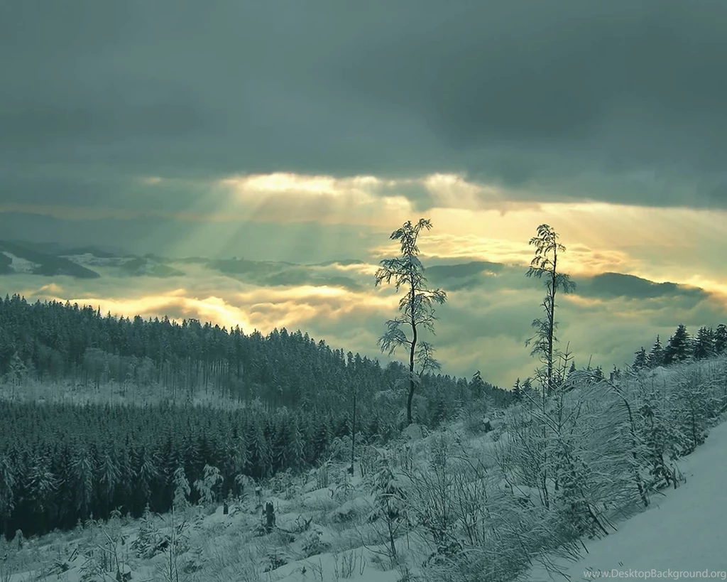 Best Winter Wallpapers 1280x1024