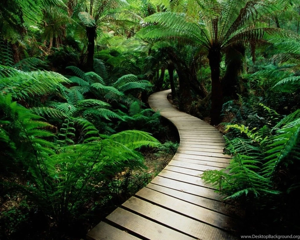 20 Best Green Wallpapers