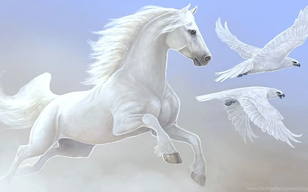 Best Horses Wallpapers   Entertainment Only
