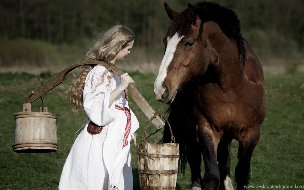 Horse Wallpapers JUDY'S BEST FRIEND Wallpapers HD Wallpapers 95822