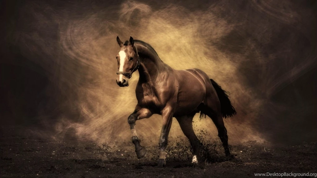 Beautiful Horse Wallpapers Wallpapers Cave