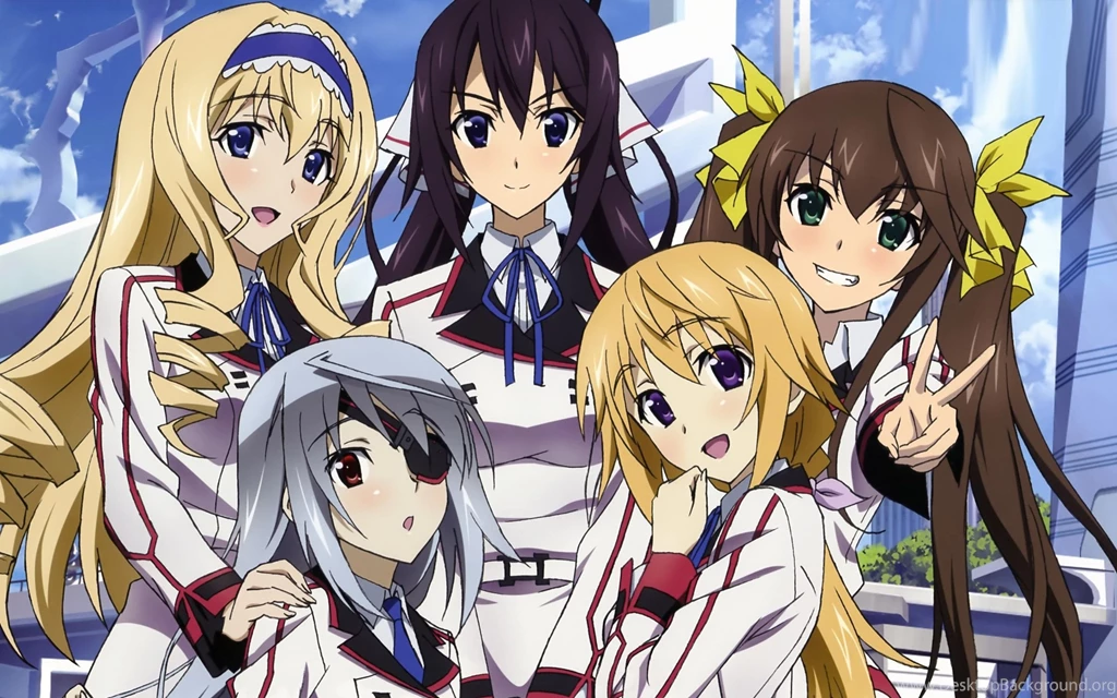 2560x1600px Infinite Stratos 686.42 KB