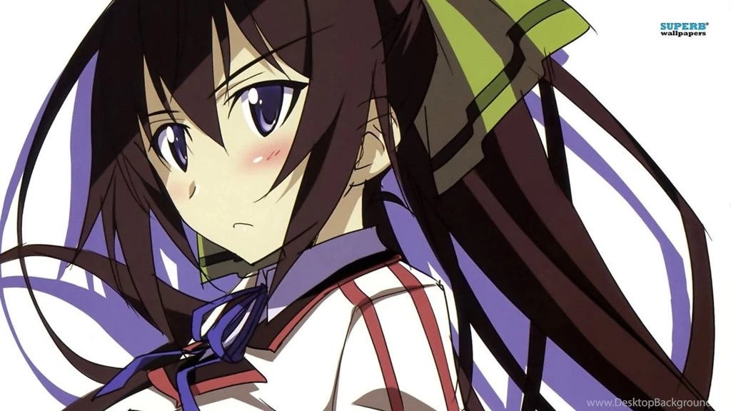 Shinonono Houki IS<Infinite Stratos> Wallpapers Anime ...