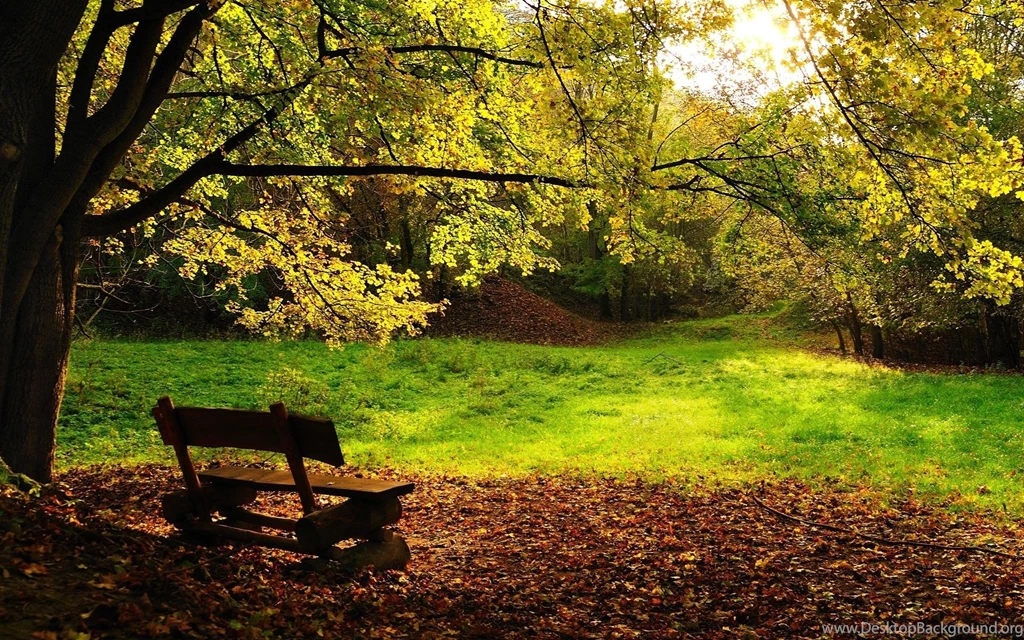 Nature Backgrounds HD GRNS29