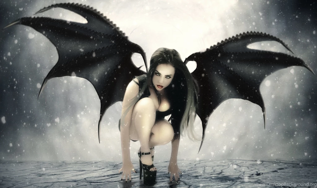 Top Favourited Wallpapers