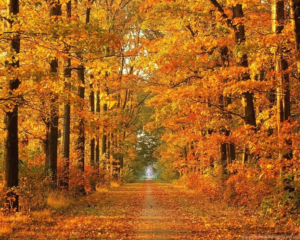 Best Autumn Wallpapers