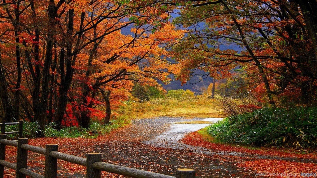 Fall Wallpapers Hd Wallpapers » WallDevil Best Free HD Desktop And ...