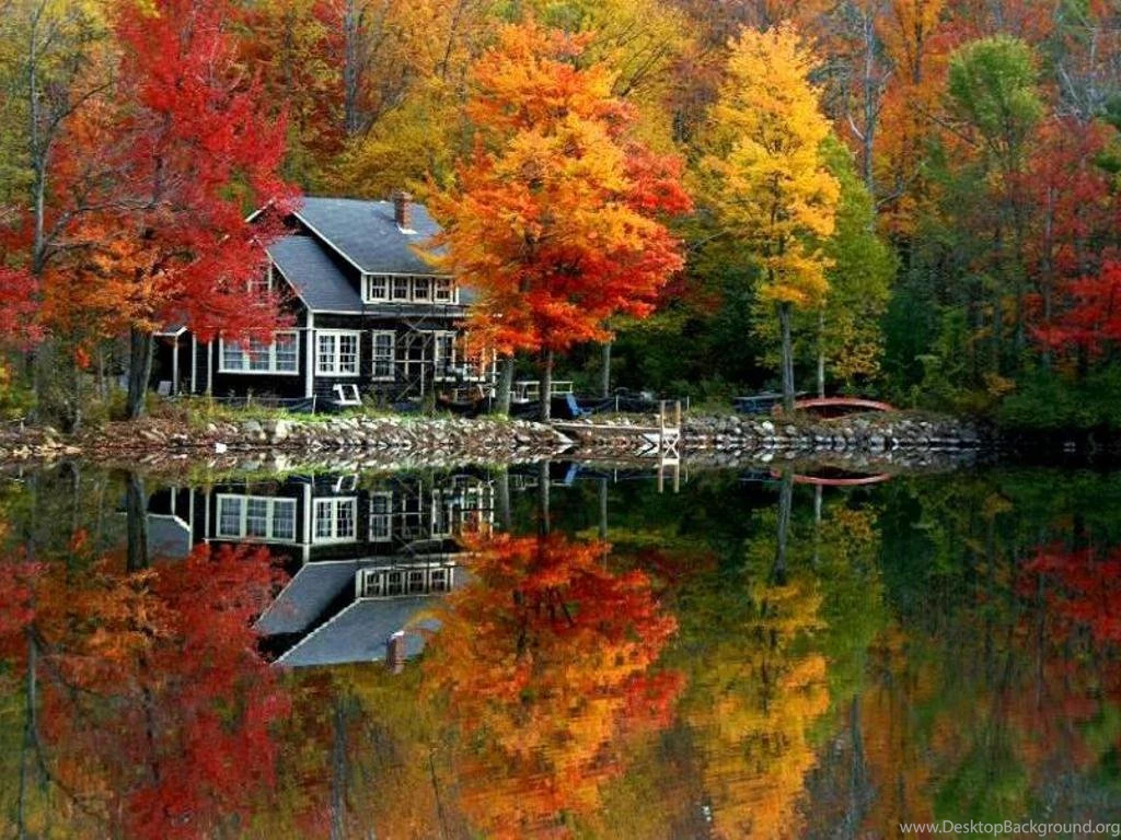 Fall Fantasy: Every Imaginable Color From God's Masterstroke Of ...